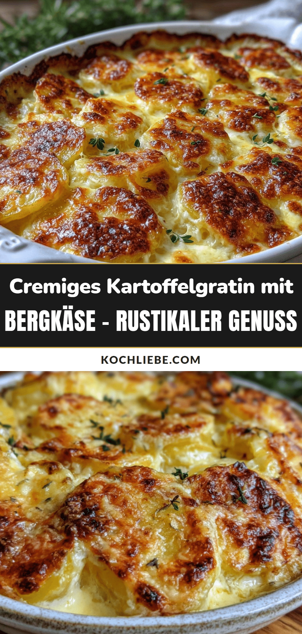 cremiges Kartoffelgratin mit Bergkäse recipe