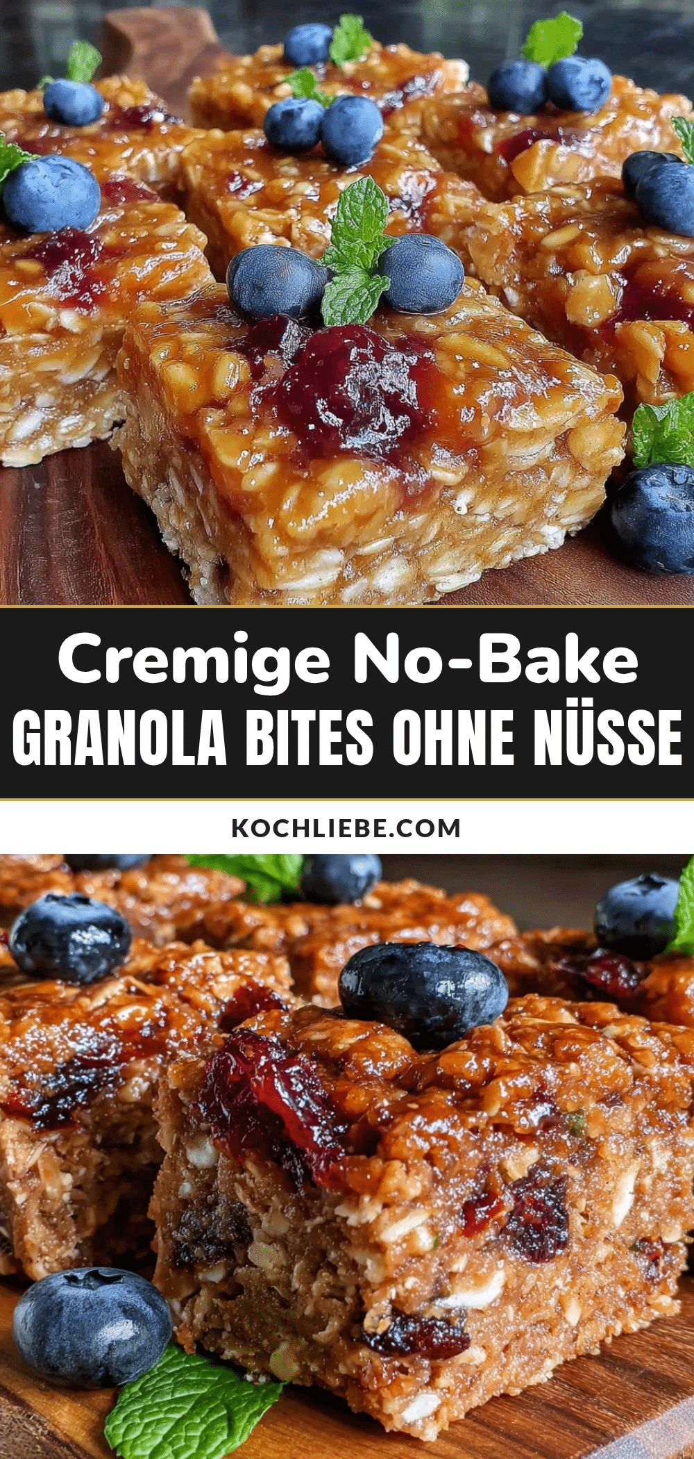 No-Bake Granola Bar Bites recipe